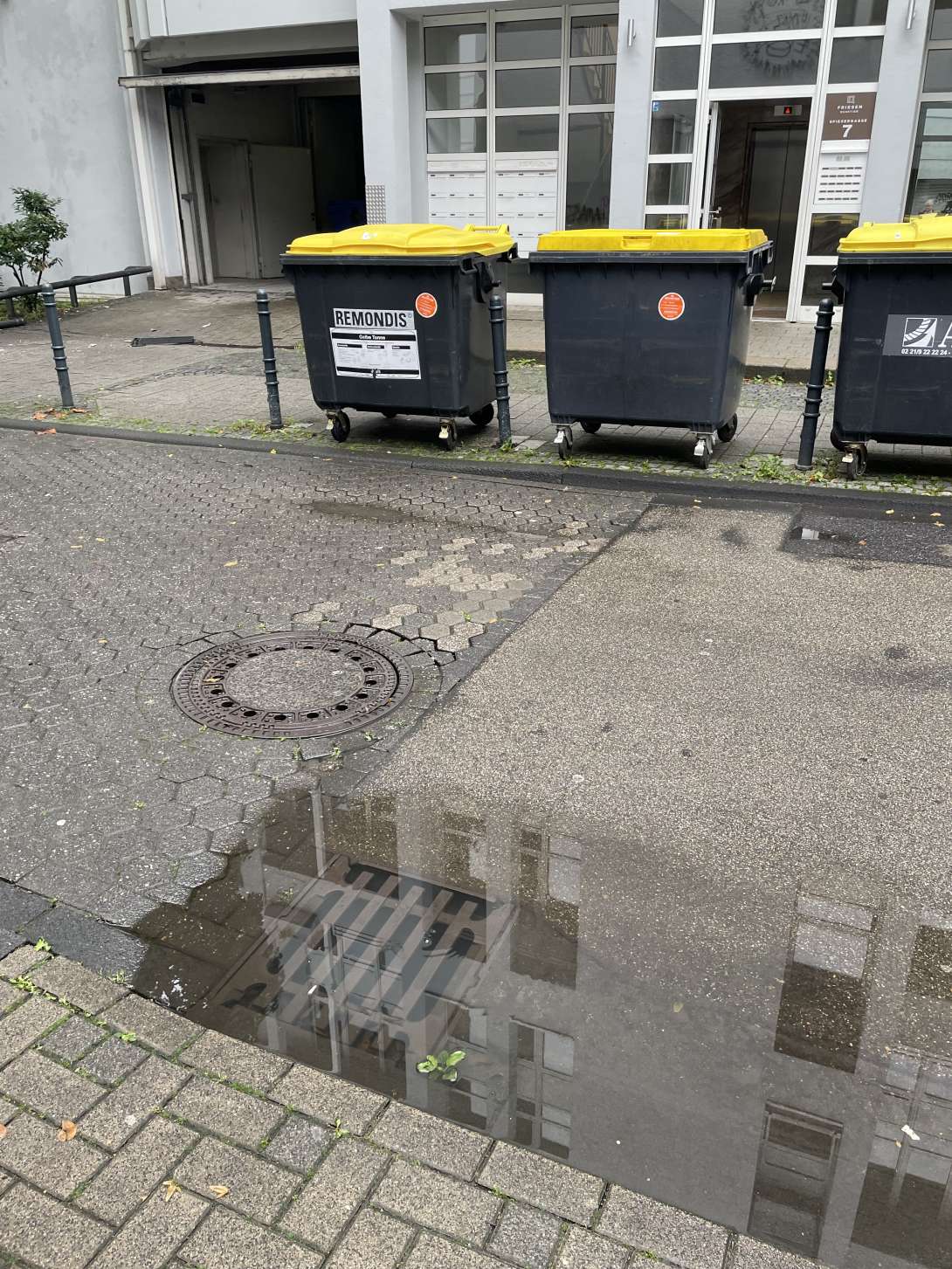 Gegenüber Spiesserhasse 7 Gulli verstopft Bild zu gemeldetem Anliegen vom *2025-09-09 17:27:22
