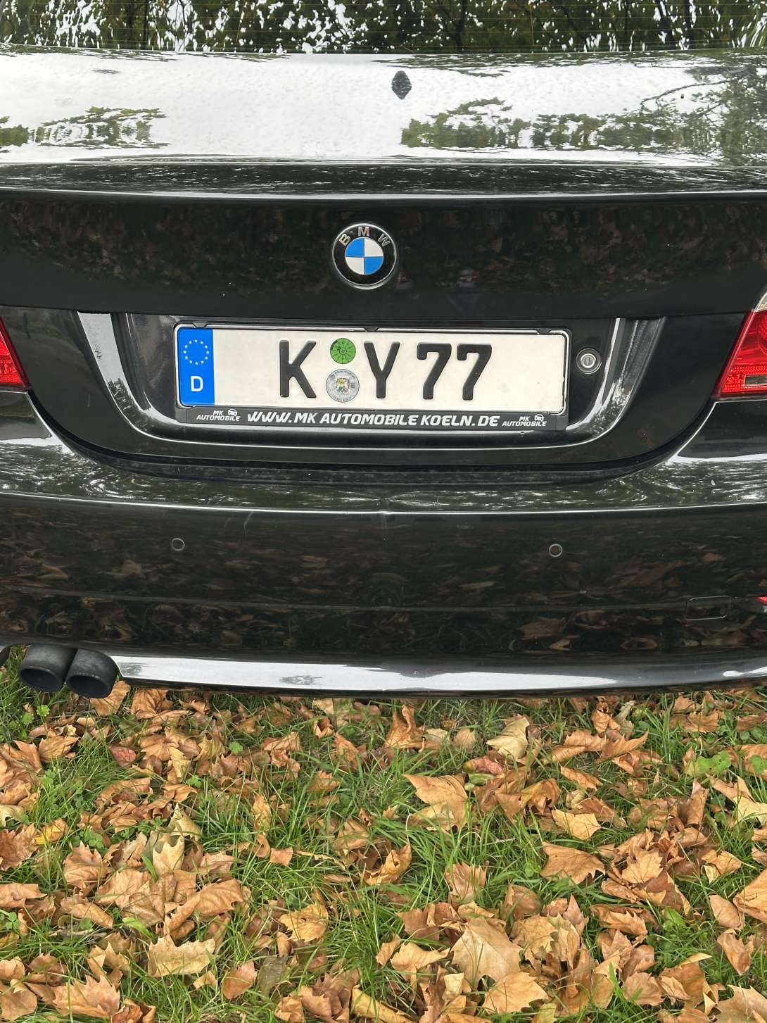 Bild zu gemeldetem Anliegen vom *2025-09-30 09:29:38