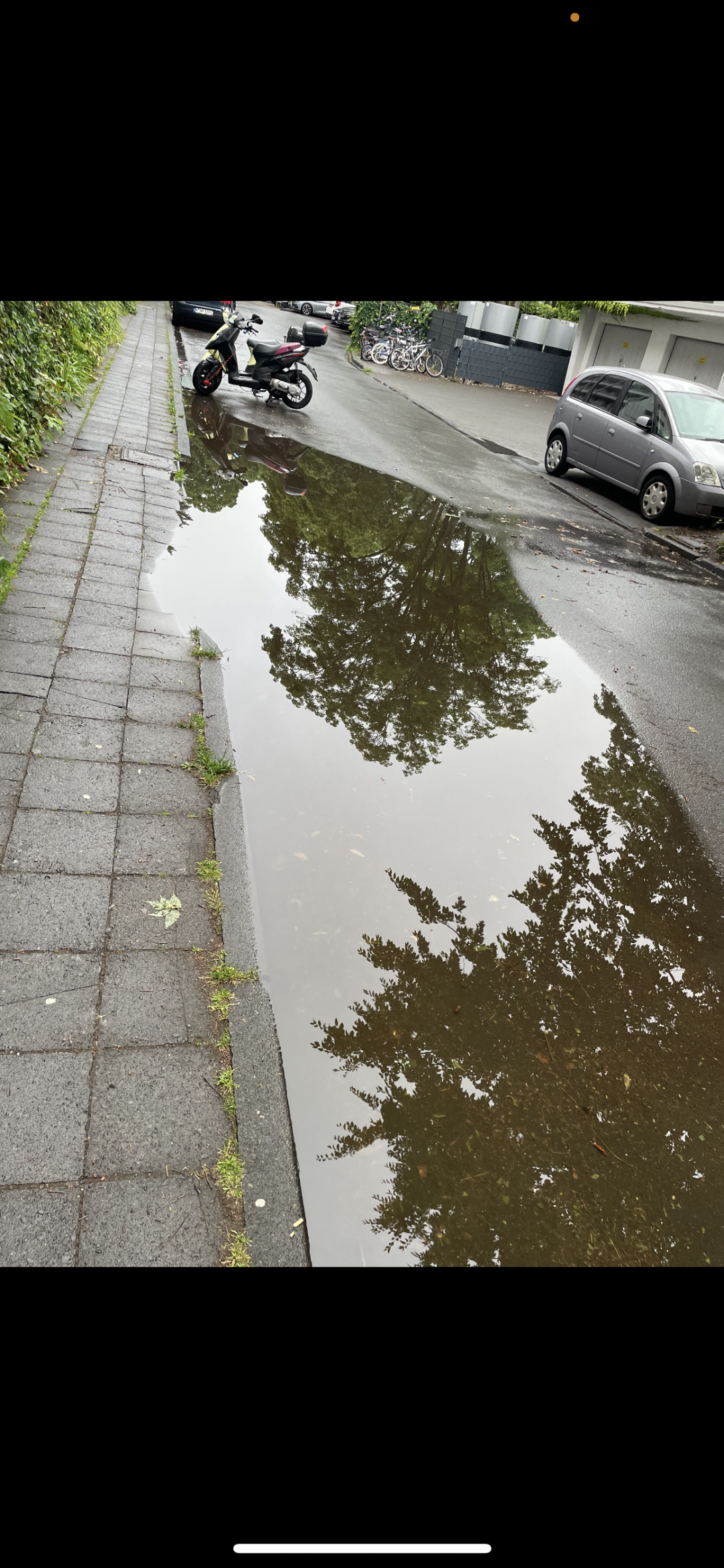 Bild zu gemeldetem Anliegen vom *2025-09-09 08:26:06
