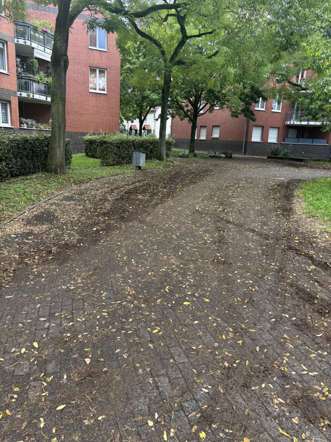 Bild zu gemeldetem Anliegen vom *2025-09-18 15:30:30