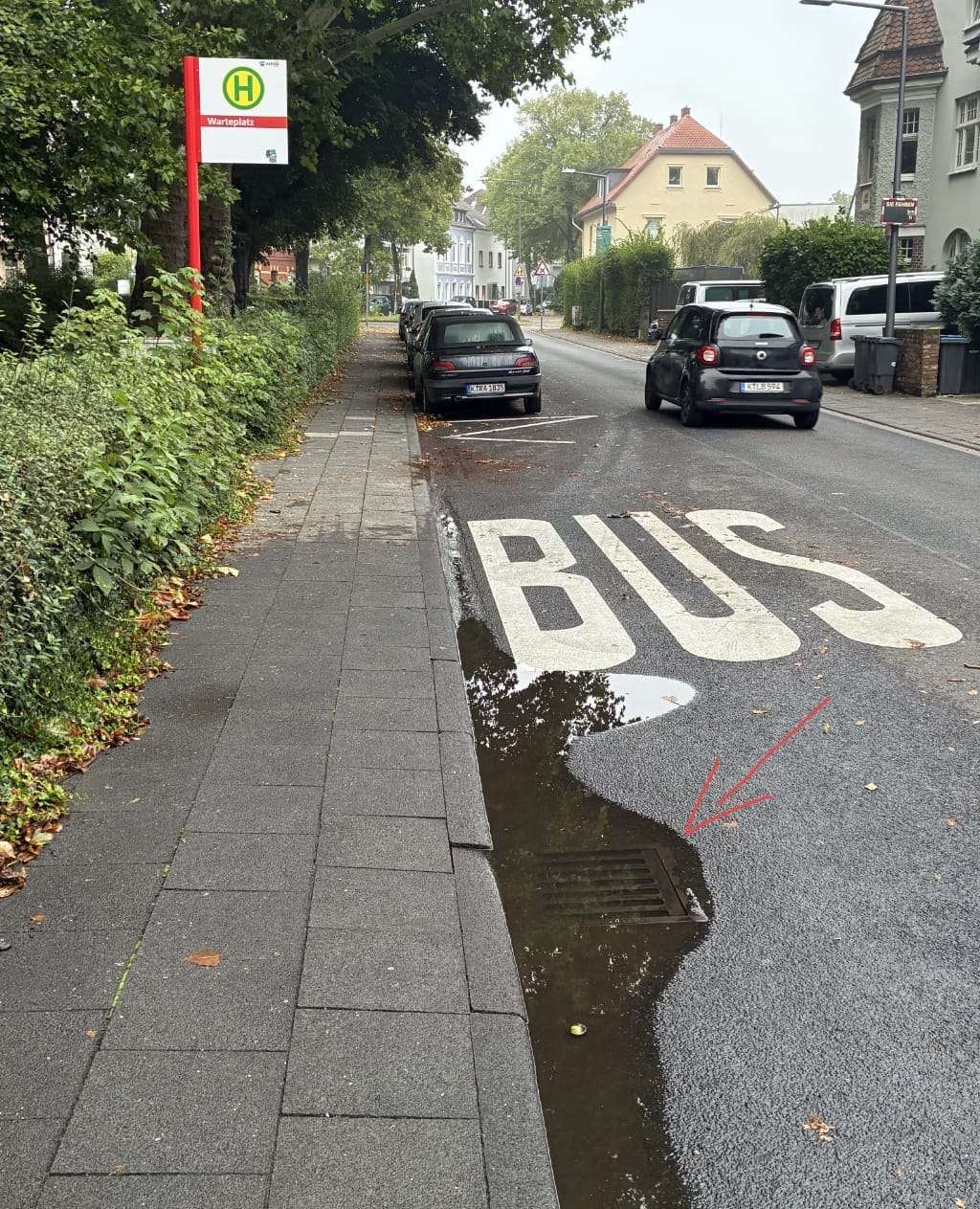 Bild zu gemeldetem Anliegen vom *2025-09-10 06:27:49