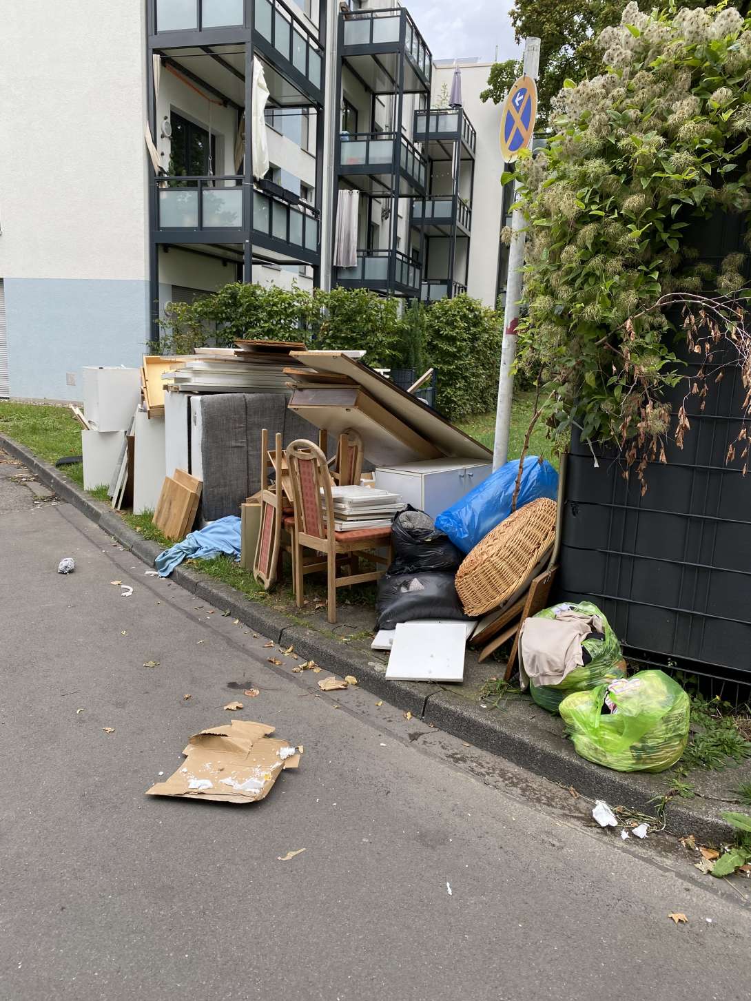 Bild zu gemeldetem Anliegen vom *2025-09-04 13:47:22