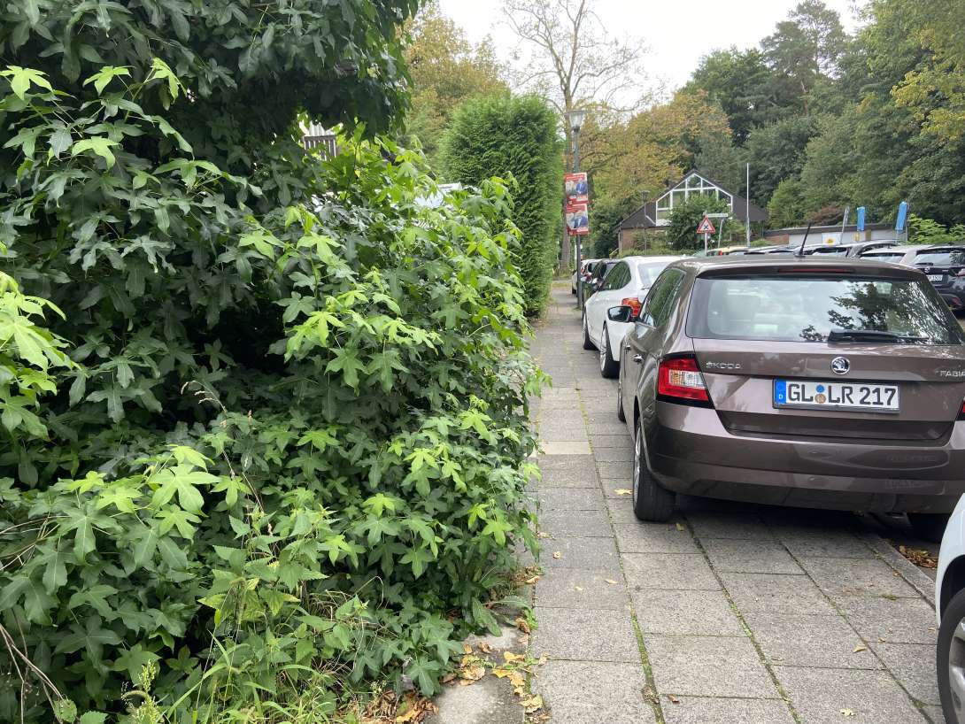 Bild zu gemeldetem Anliegen vom *2025-09-04 14:04:46