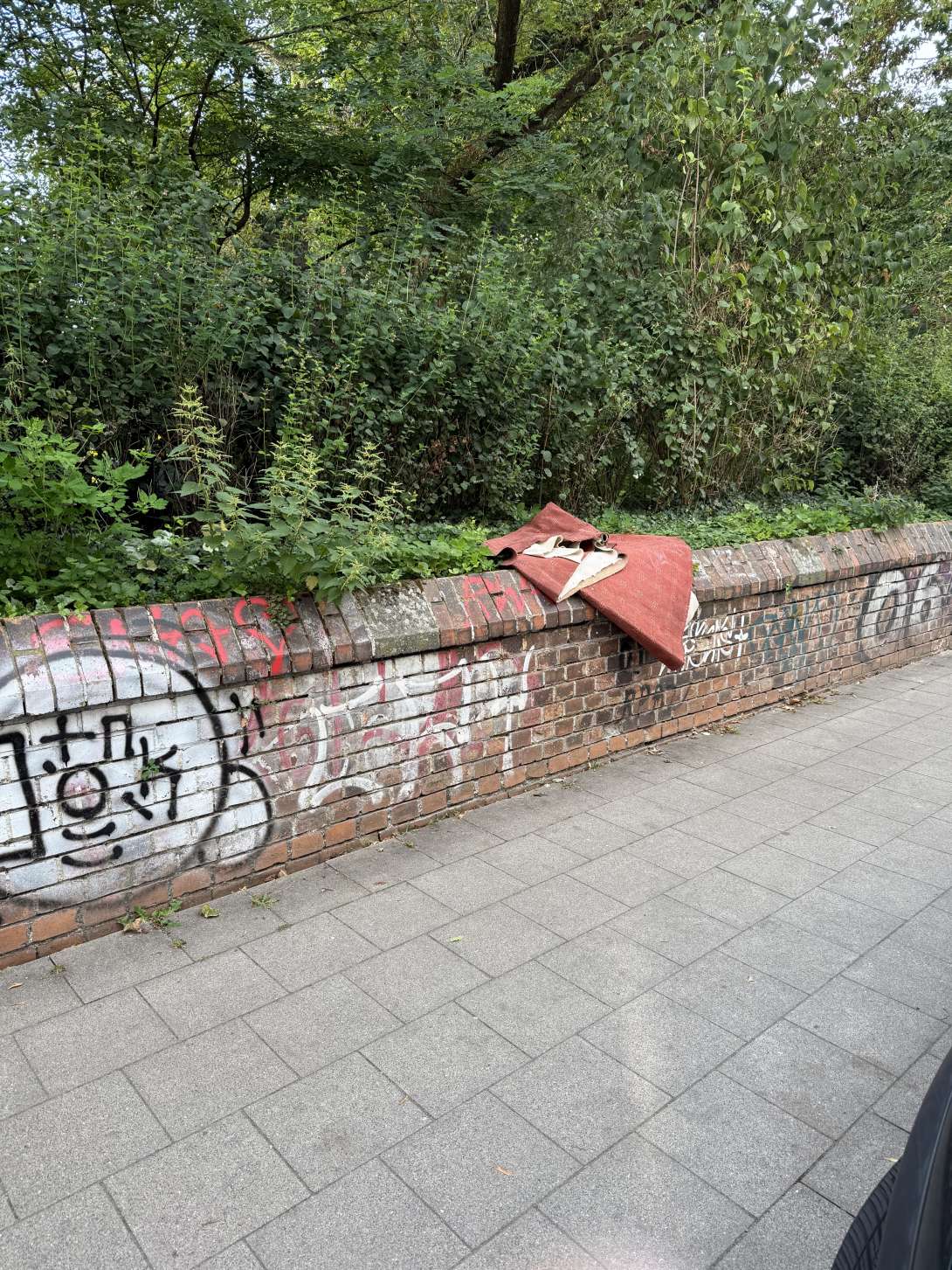 Bild zu gemeldetem Anliegen vom *2025-09-03 18:34:33