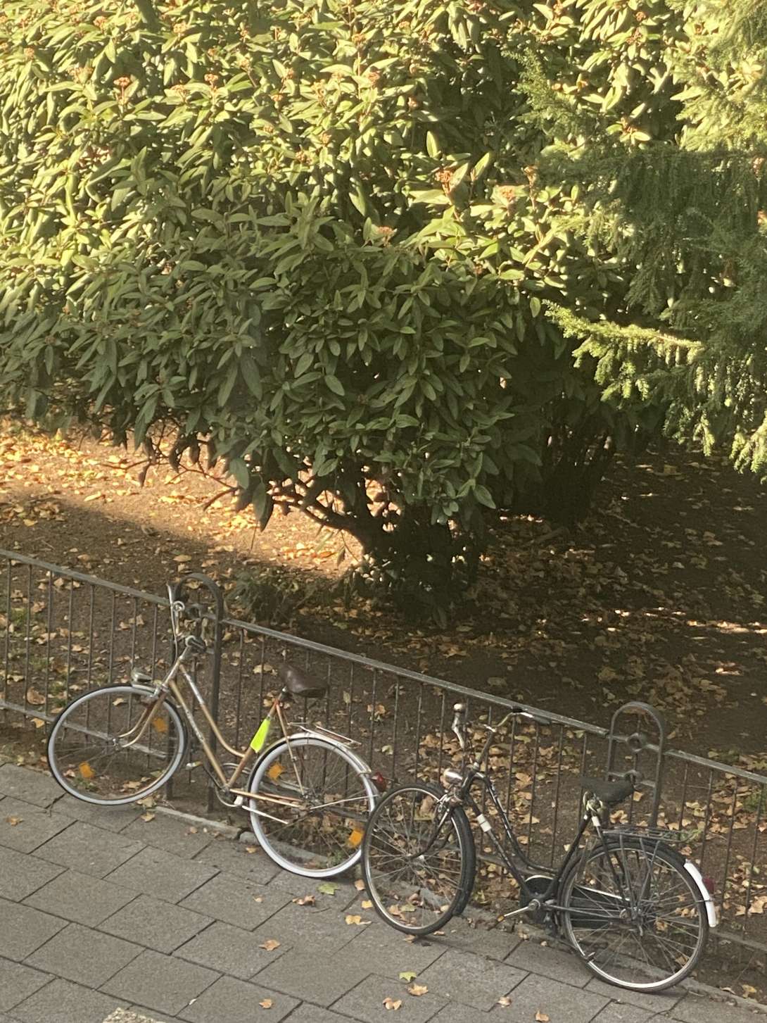 Bild zu gemeldetem Anliegen vom *2025-09-07 15:27:36
