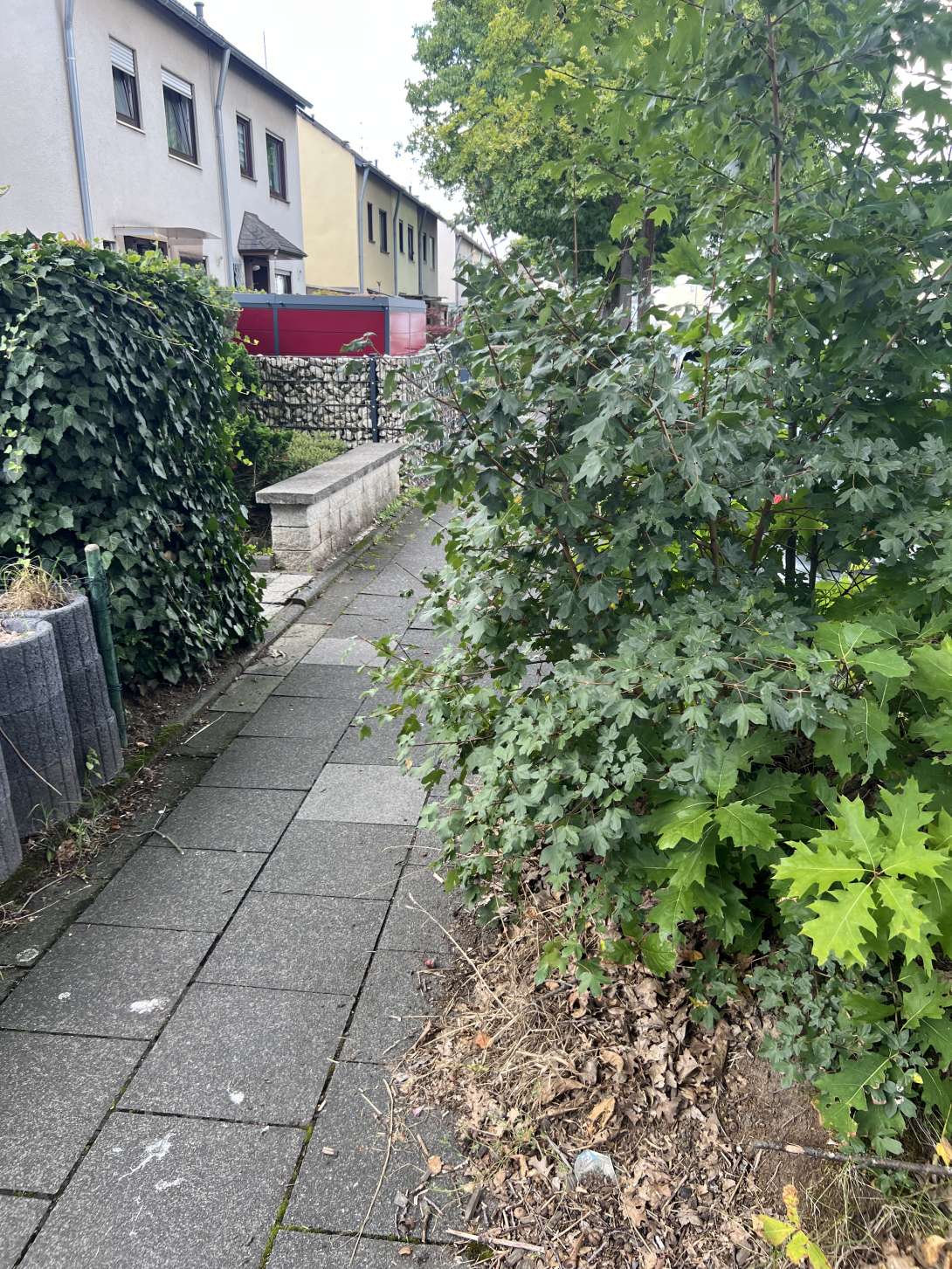 Bild zu gemeldetem Anliegen vom *2025-09-16 17:39:38
