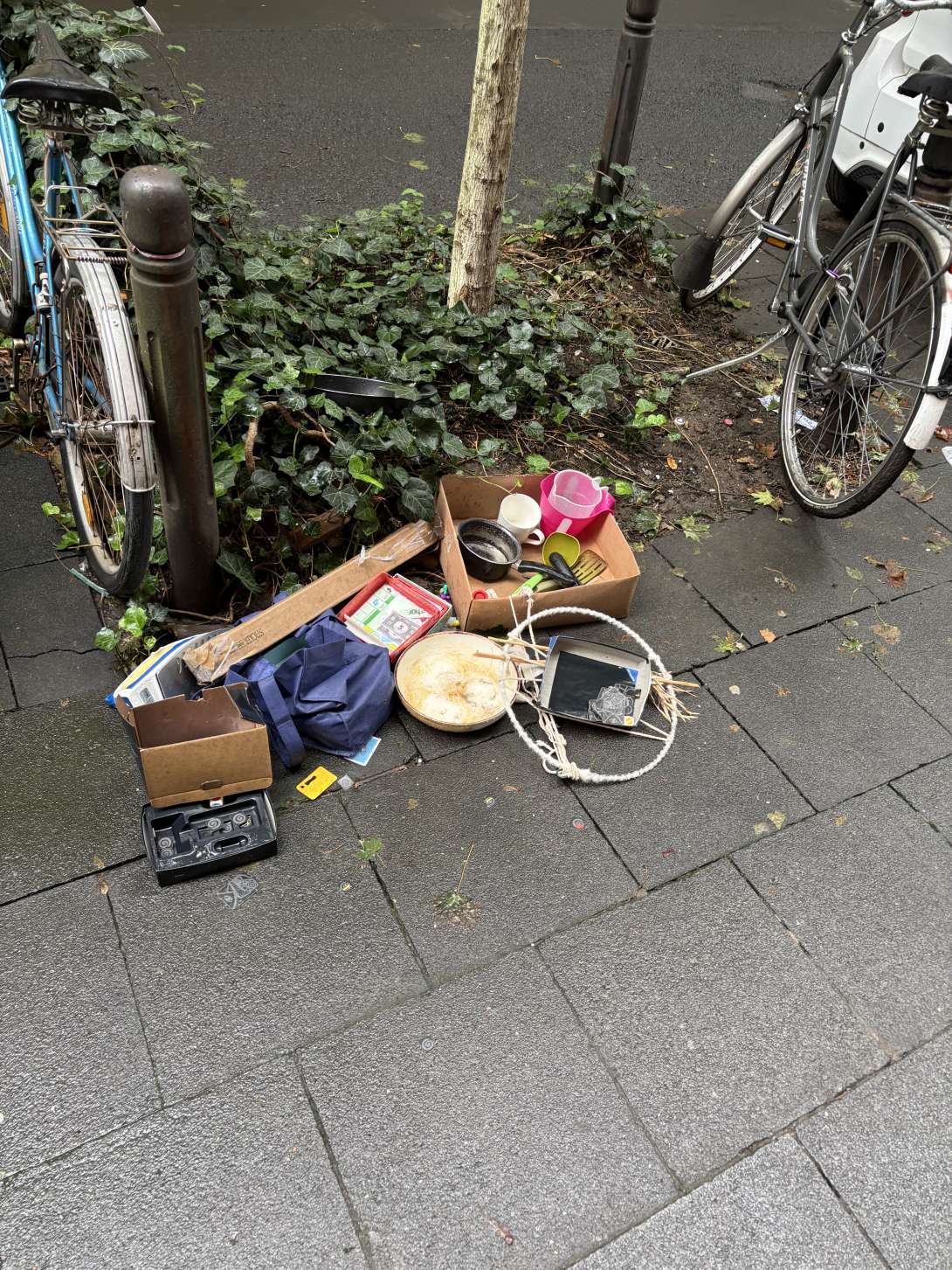 Bild zu gemeldetem Anliegen vom *2025-09-15 08:43:44