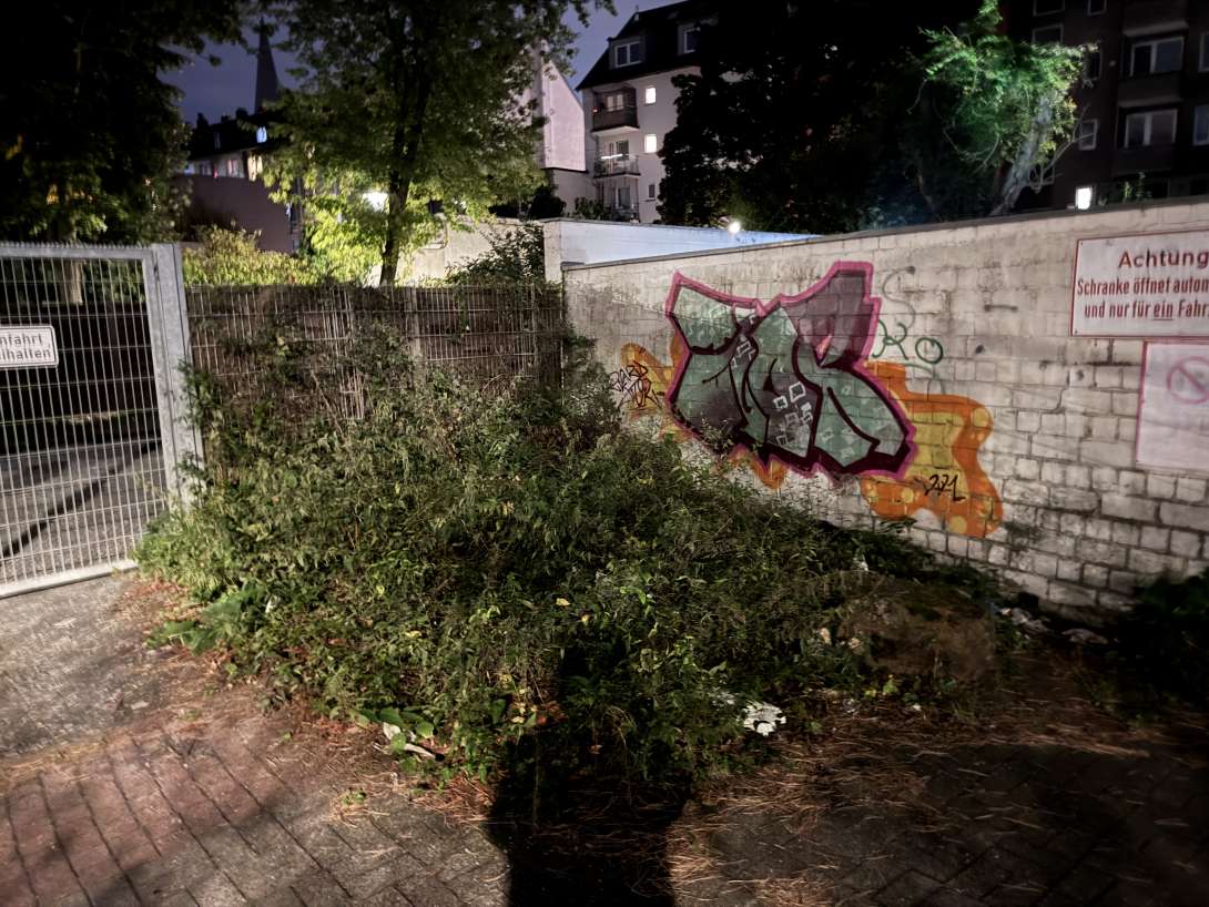 Bild zu gemeldetem Anliegen vom *2025-09-18 09:27:36