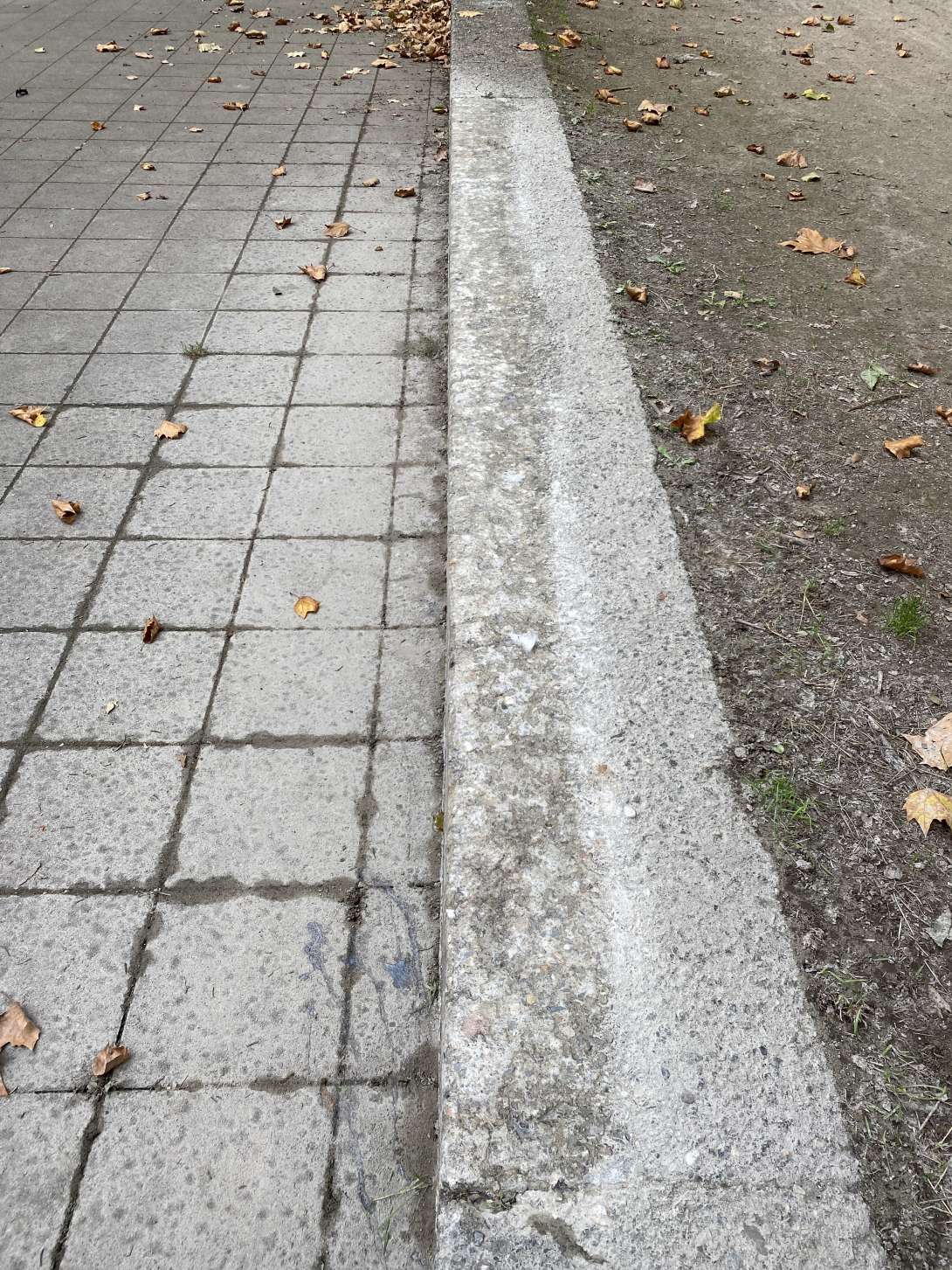 Bild zu gemeldetem Anliegen vom *2025-09-27 14:47:46