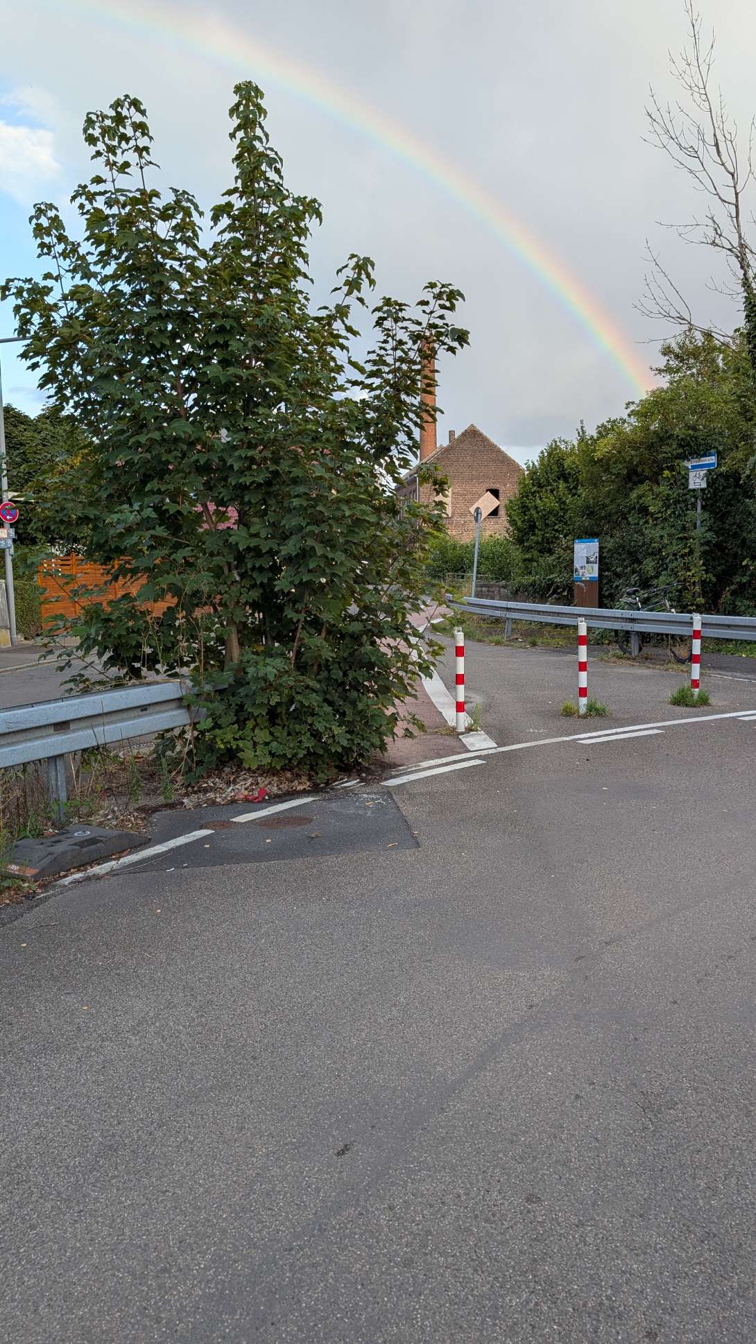 Bild zu gemeldetem Anliegen vom *2025-09-06 06:32:29