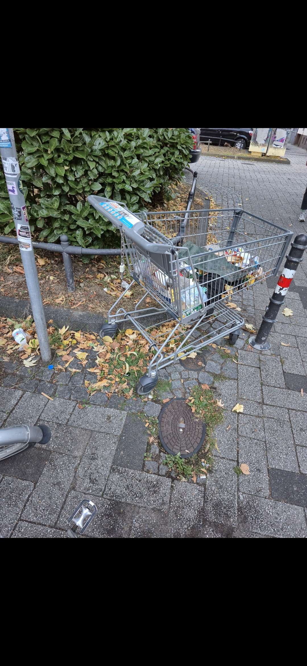 Bild zu gemeldetem Anliegen vom *2025-09-03 18:36:14