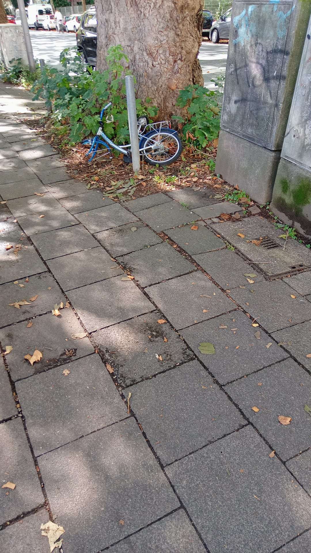 Bild zu gemeldetem Anliegen vom *2025-09-06 12:35:54