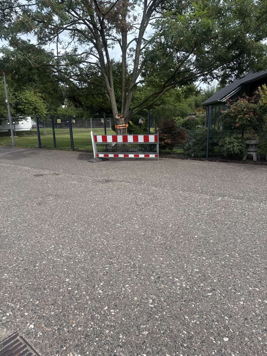 Bild zu gemeldetem Anliegen vom *2025-09-04 12:40:38