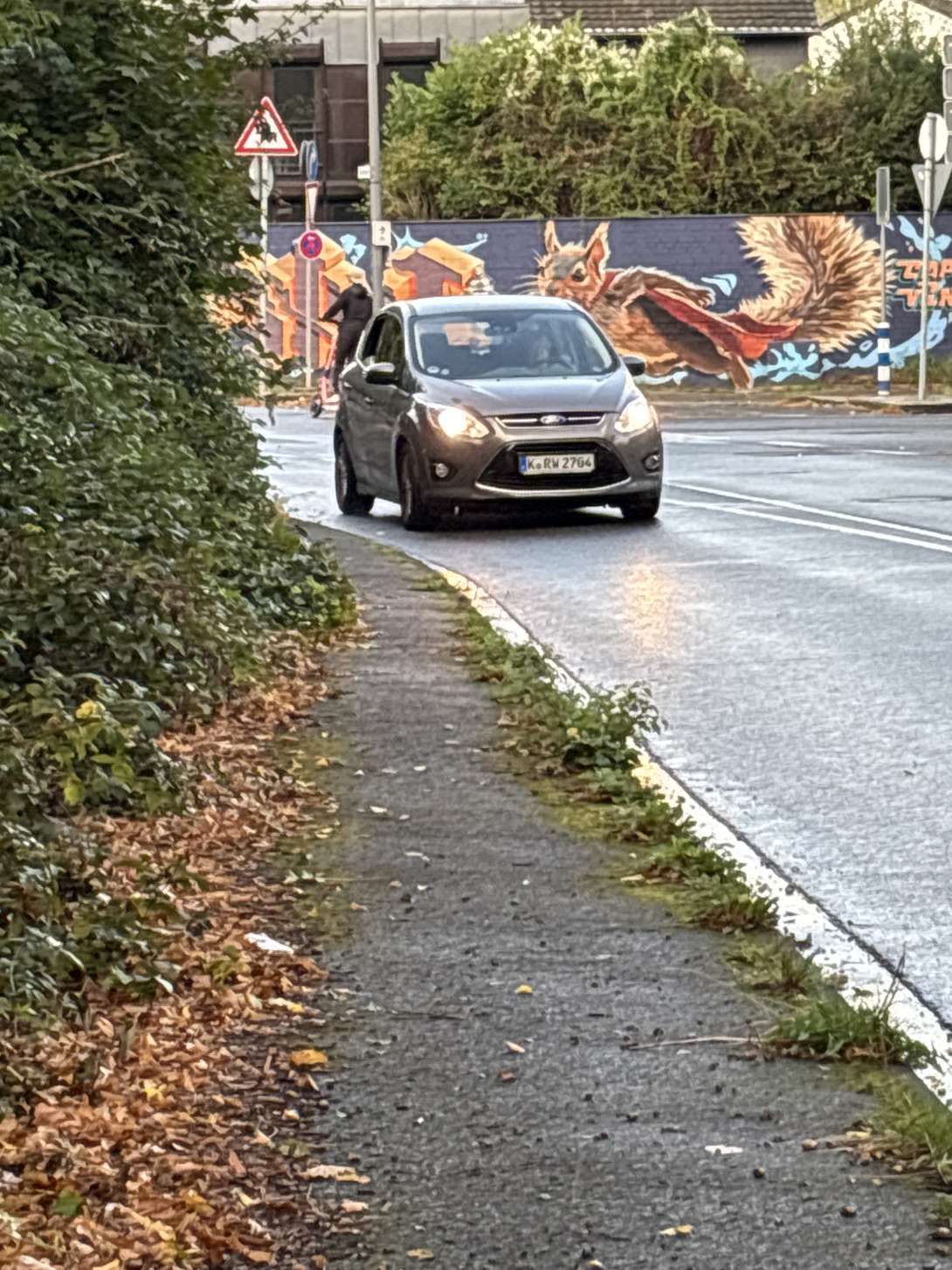 Zugewachsener Gehweg