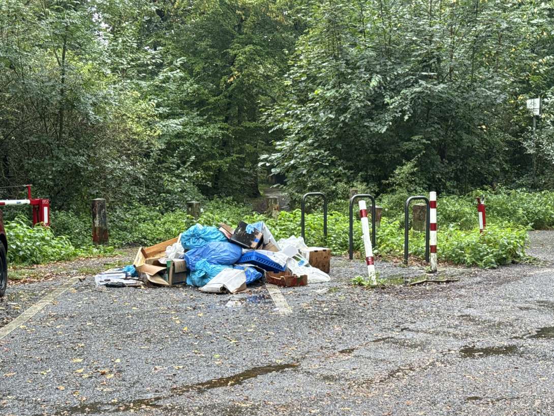 Bild zu gemeldetem Anliegen vom *2025-09-09 13:58:20
