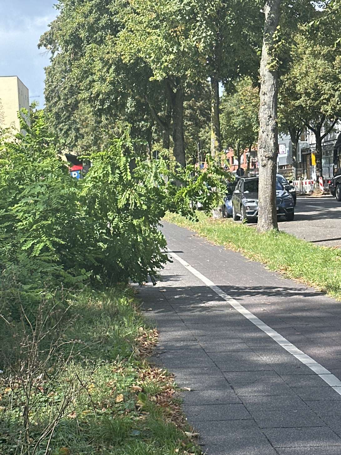 Bild zu gemeldetem Anliegen vom *2025-09-11 13:53:35