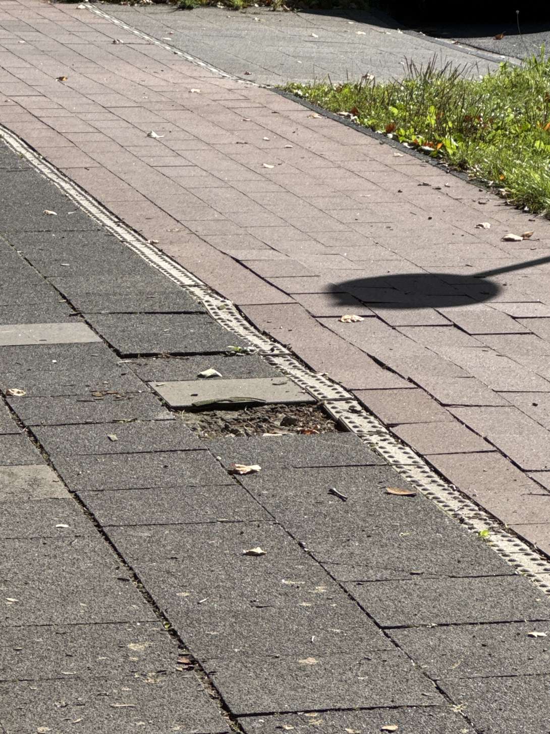 Bild zu gemeldetem Anliegen vom *2025-09-14 10:52:46