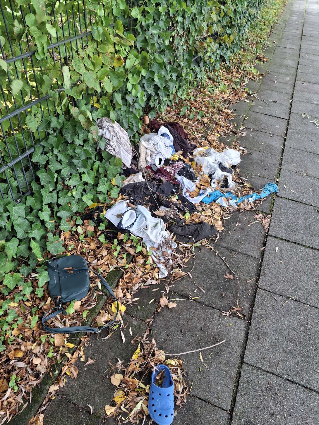 Bild zu gemeldetem Anliegen vom *2025-10-05 13:20:20