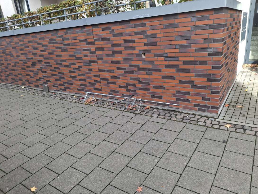 Bild zu gemeldetem Anliegen vom *2025-10-29 13:23:49