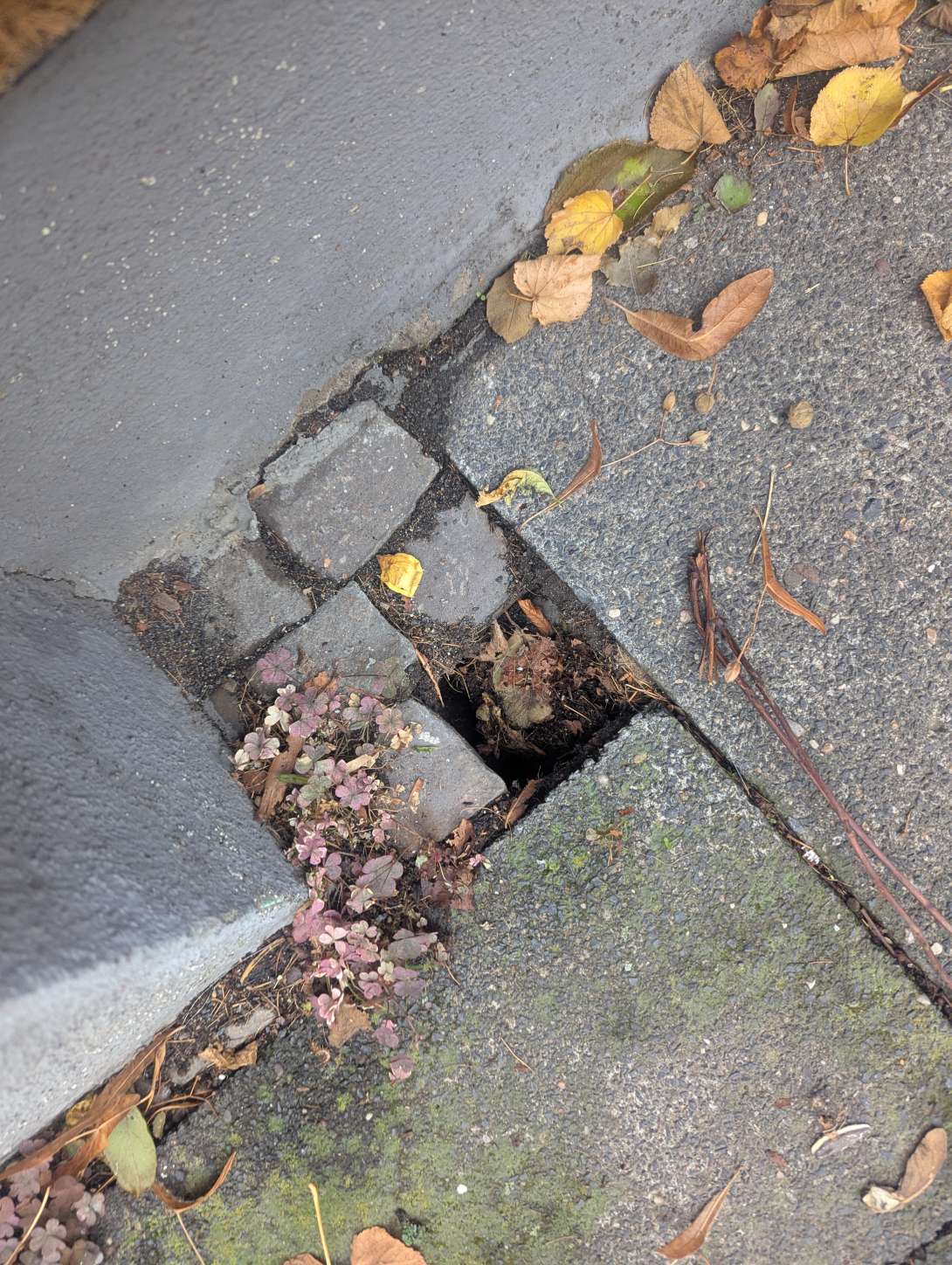 Bild zu gemeldetem Anliegen vom *2025-10-29 14:37:39