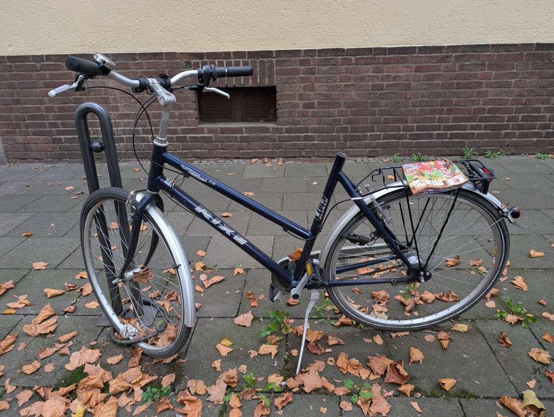 Bild zu gemeldetem Anliegen vom *2025-10-17 21:17:36