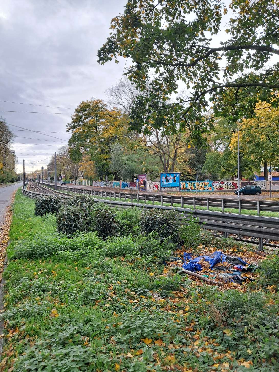 Bild zu gemeldetem Anliegen vom *2025-10-26 10:44:31