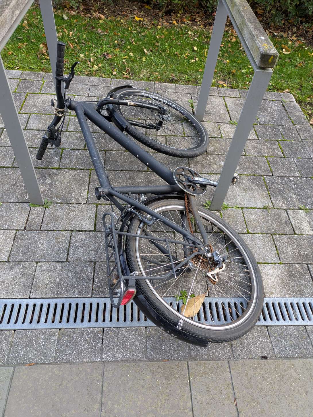 Bild zu gemeldetem Anliegen vom *2025-10-26 12:28:59