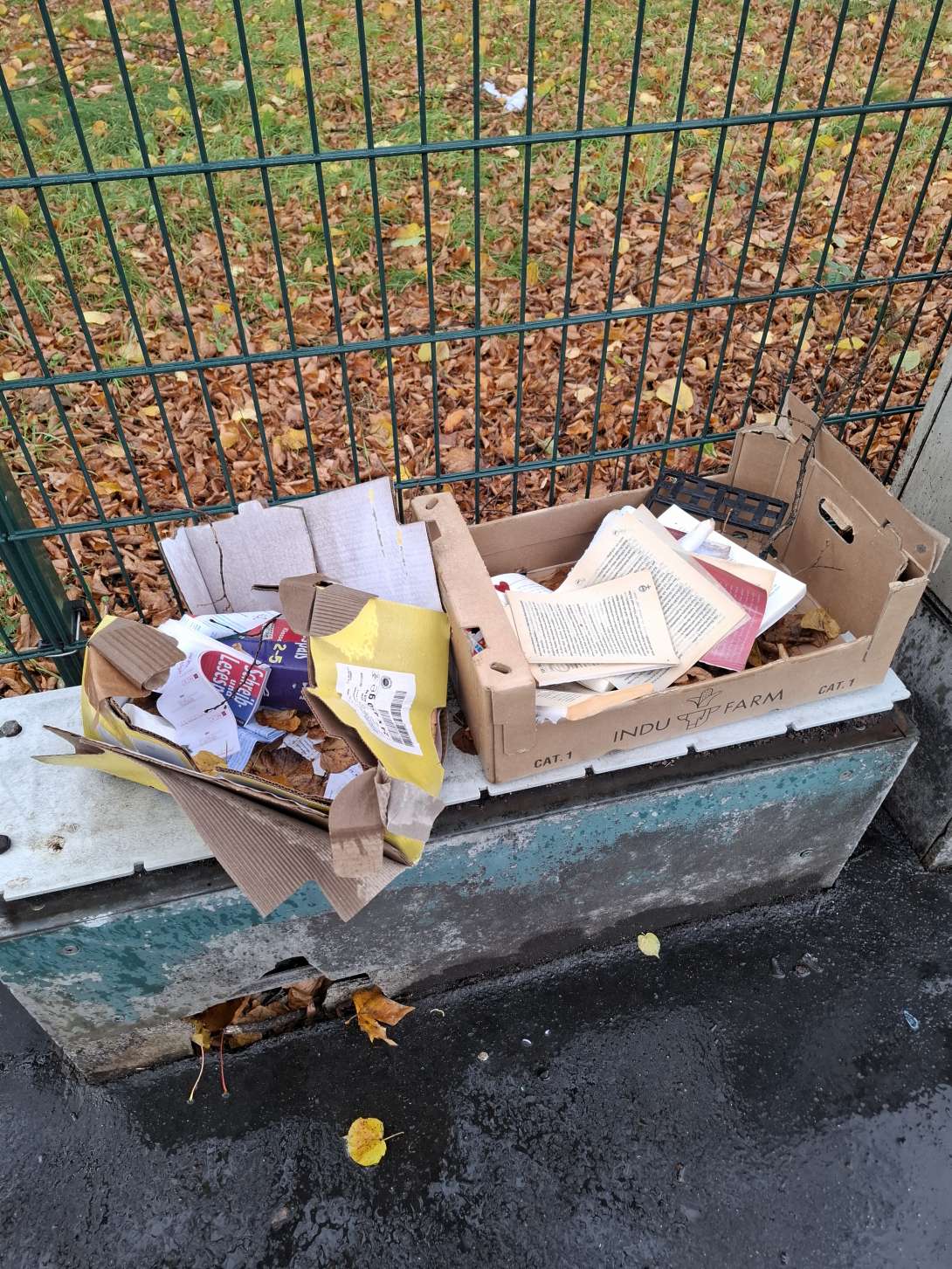 Bild zu gemeldetem Anliegen vom *2025-10-27 14:38:32