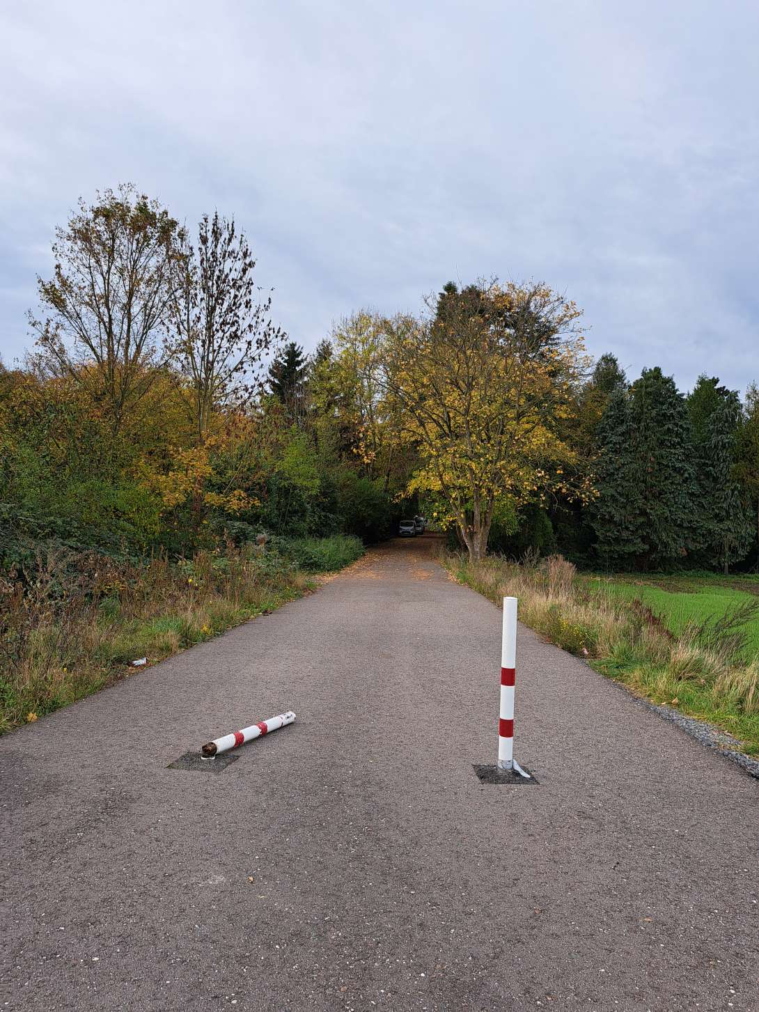 Bild zu gemeldetem Anliegen vom *2025-10-31 19:21:11