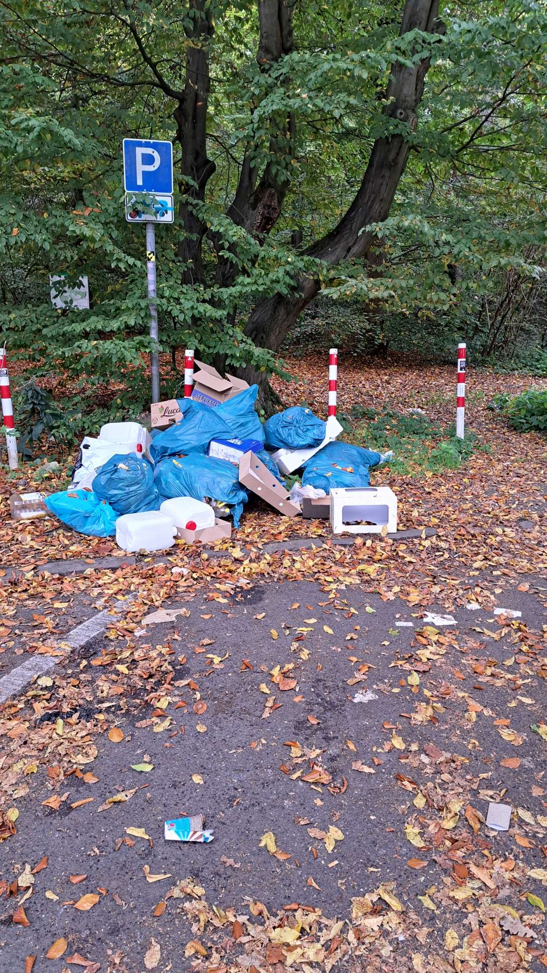 Bild zu gemeldetem Anliegen vom *2025-10-19 12:36:06