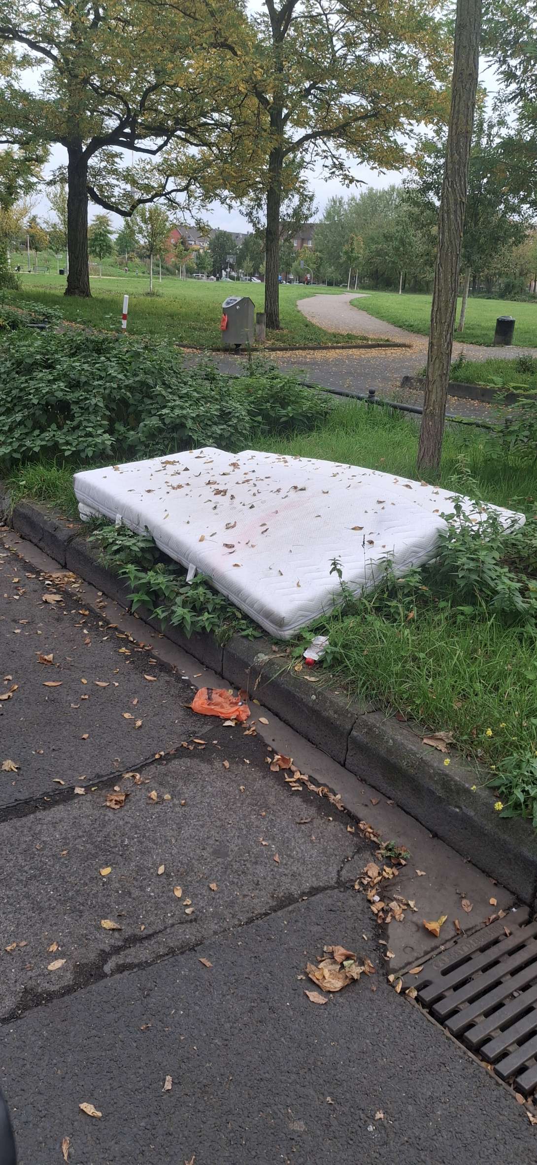 Bild zu gemeldetem Anliegen vom *2025-10-16 22:08:42