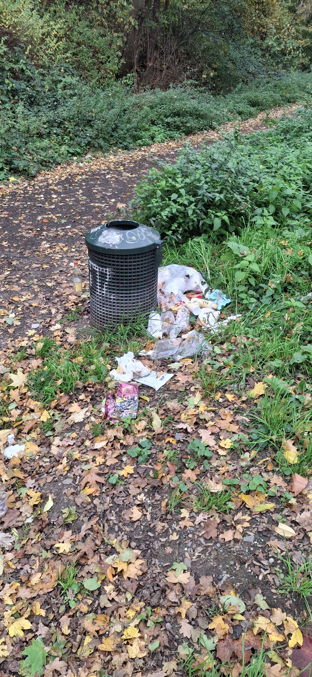 Bild zu gemeldetem Anliegen vom *2025-10-26 17:16:56