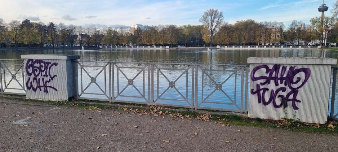 Bild zu gemeldetem Anliegen vom *2025-10-31 10:18:14