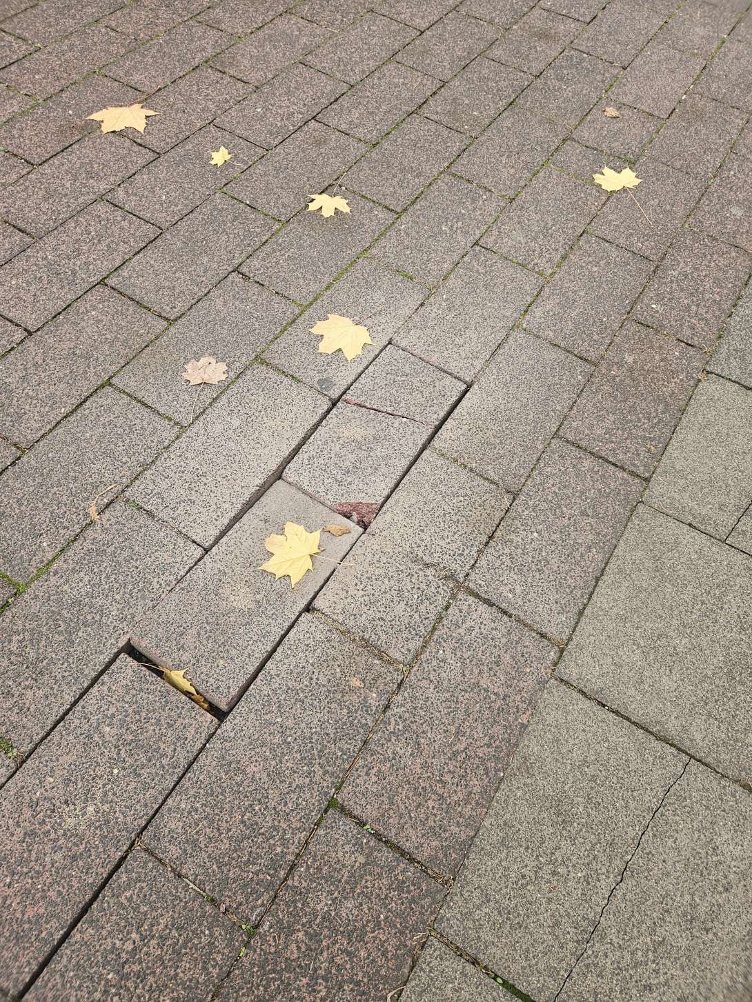 Bild zu gemeldetem Anliegen vom *2025-10-31 12:27:30