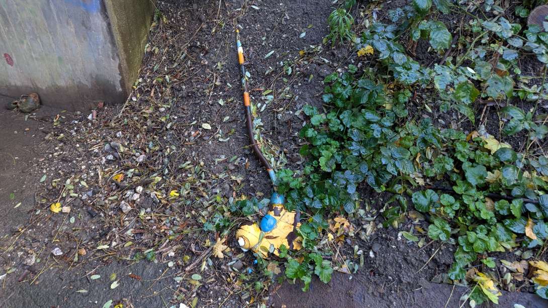 Bild zu gemeldetem Anliegen vom *2025-10-27 15:26:44