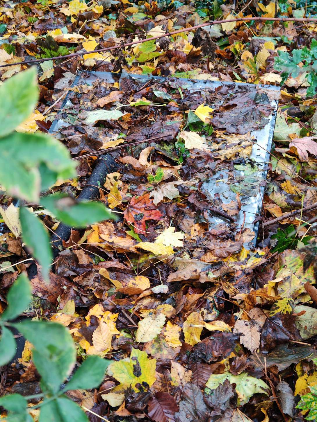 Bild zu gemeldetem Anliegen vom *2025-10-29 09:12:16