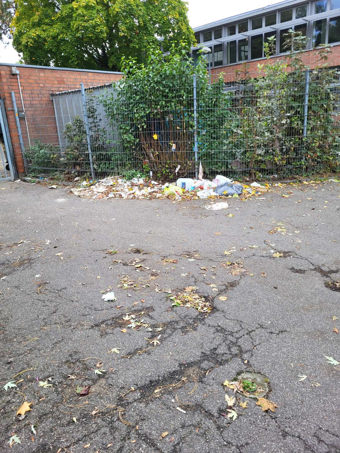 Bild zu gemeldetem Anliegen vom *2025-10-07 00:50:44