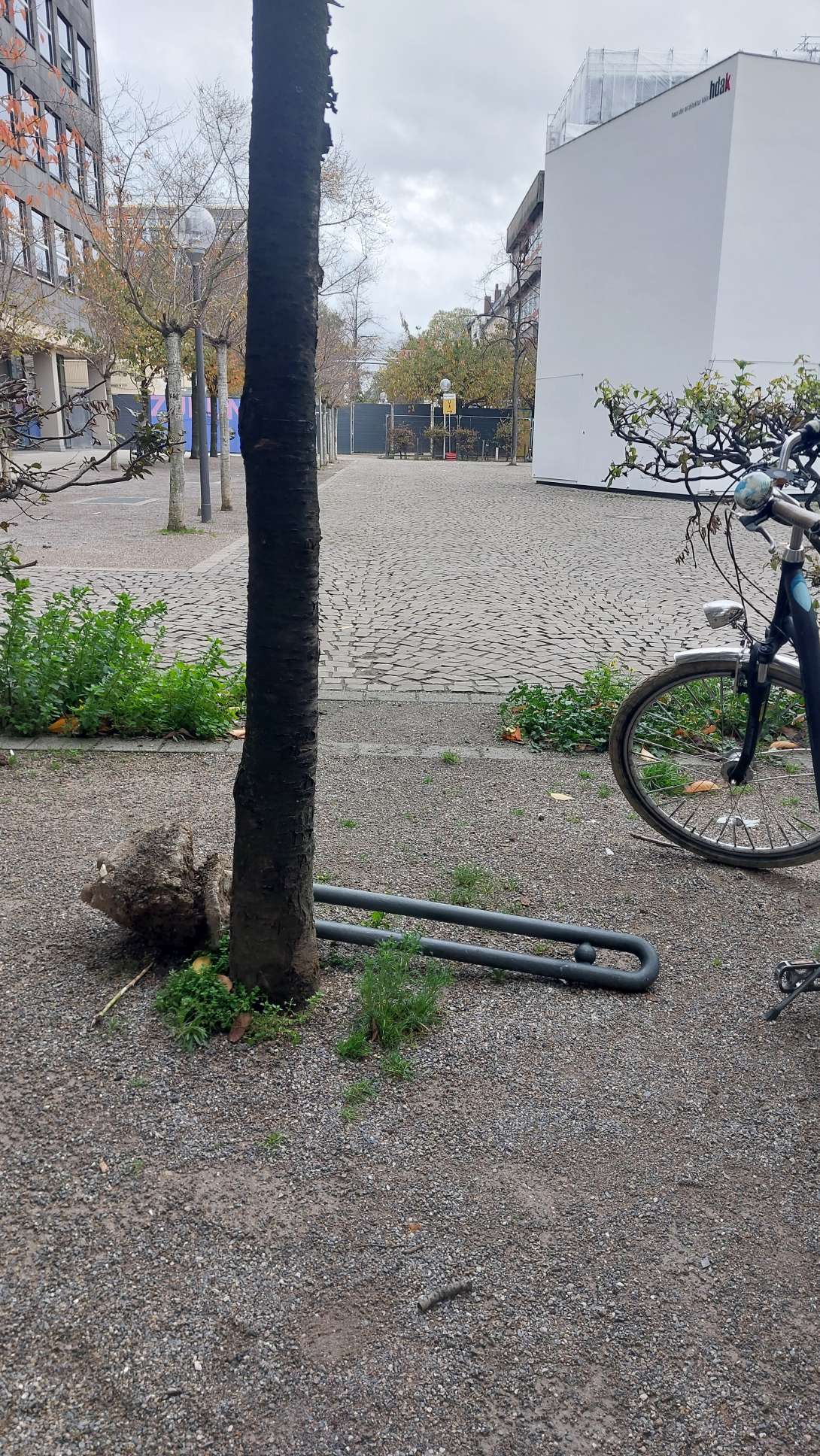 Bild zu gemeldetem Anliegen vom *2025-10-28 16:02:24