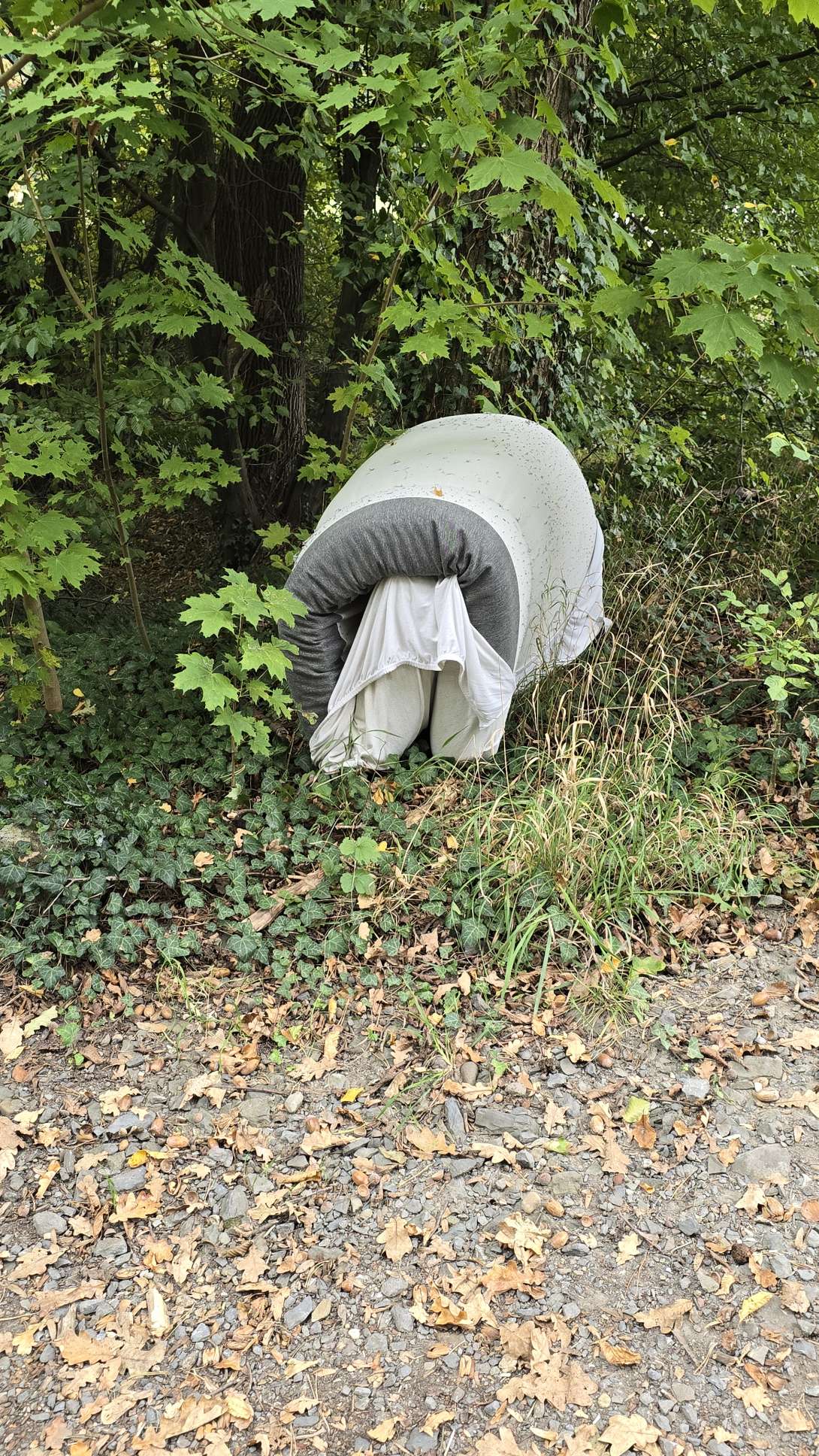 Bild zu gemeldetem Anliegen vom *2025-10-03 16:21:43