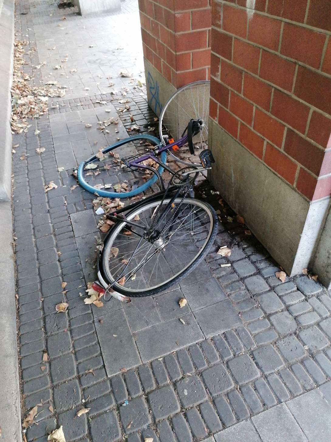 Bild zu gemeldetem Anliegen vom *2025-10-02 17:23:43