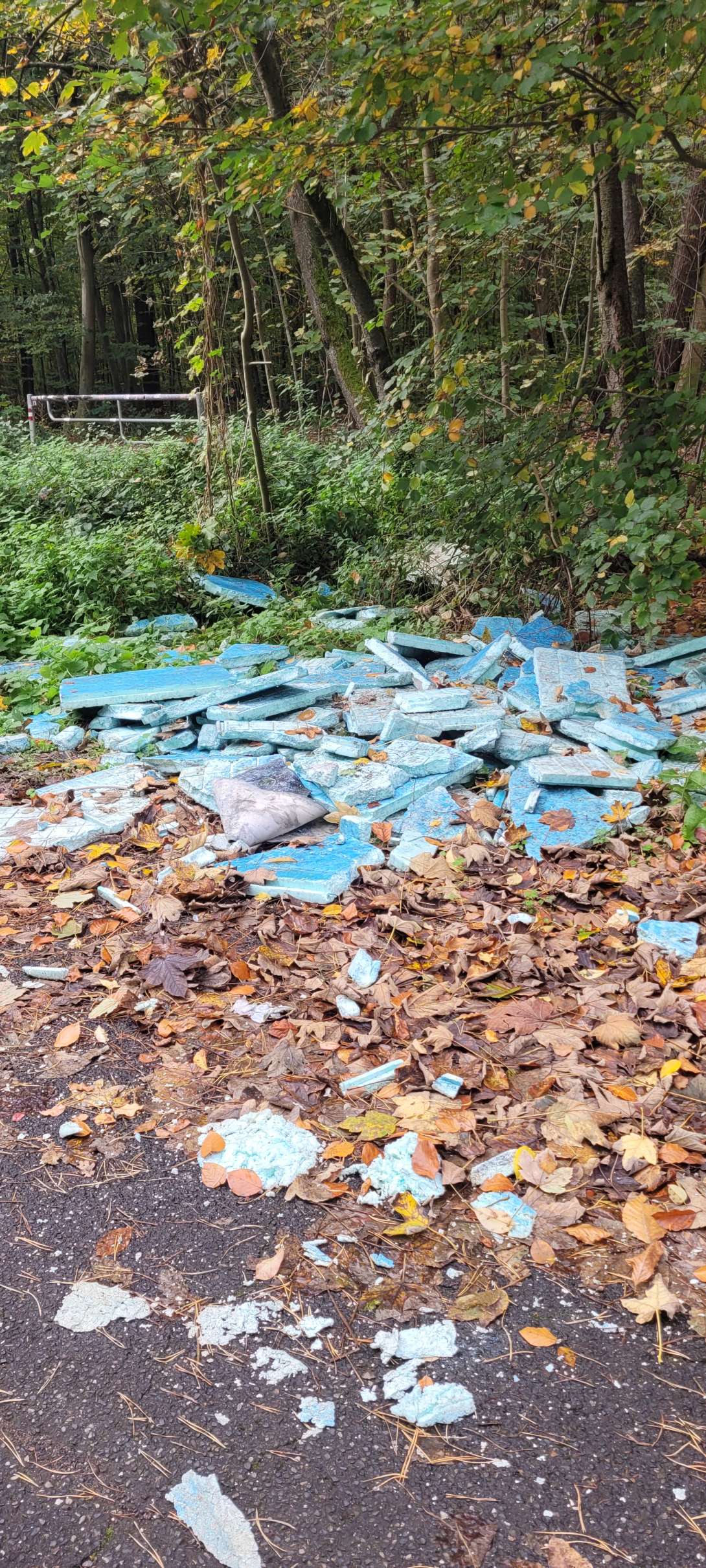 Bild zu gemeldetem Anliegen vom *2025-10-22 16:55:55