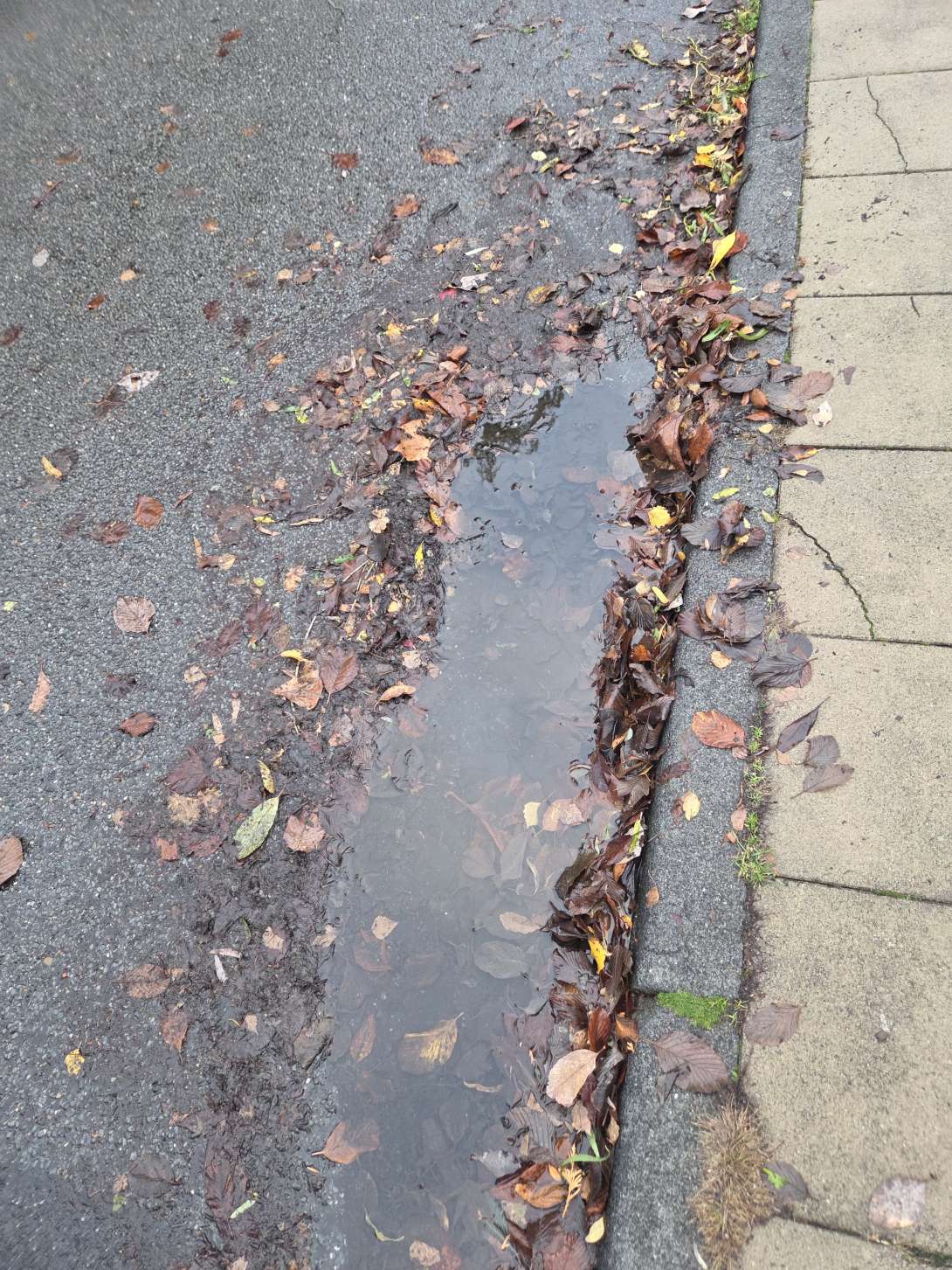 Bild zu gemeldetem Anliegen vom *2025-10-29 07:45:00