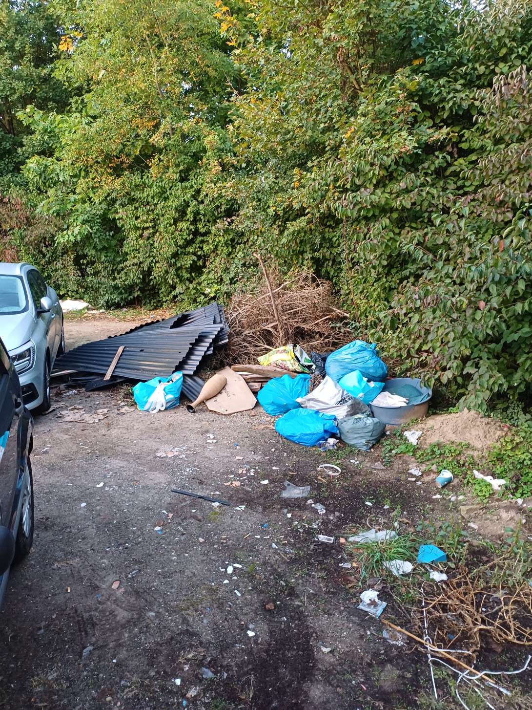 Bild zu gemeldetem Anliegen vom *2025-10-03 01:45:08