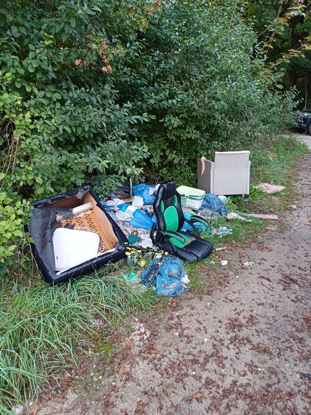 Bild zu gemeldetem Anliegen vom *2025-10-03 01:47:05