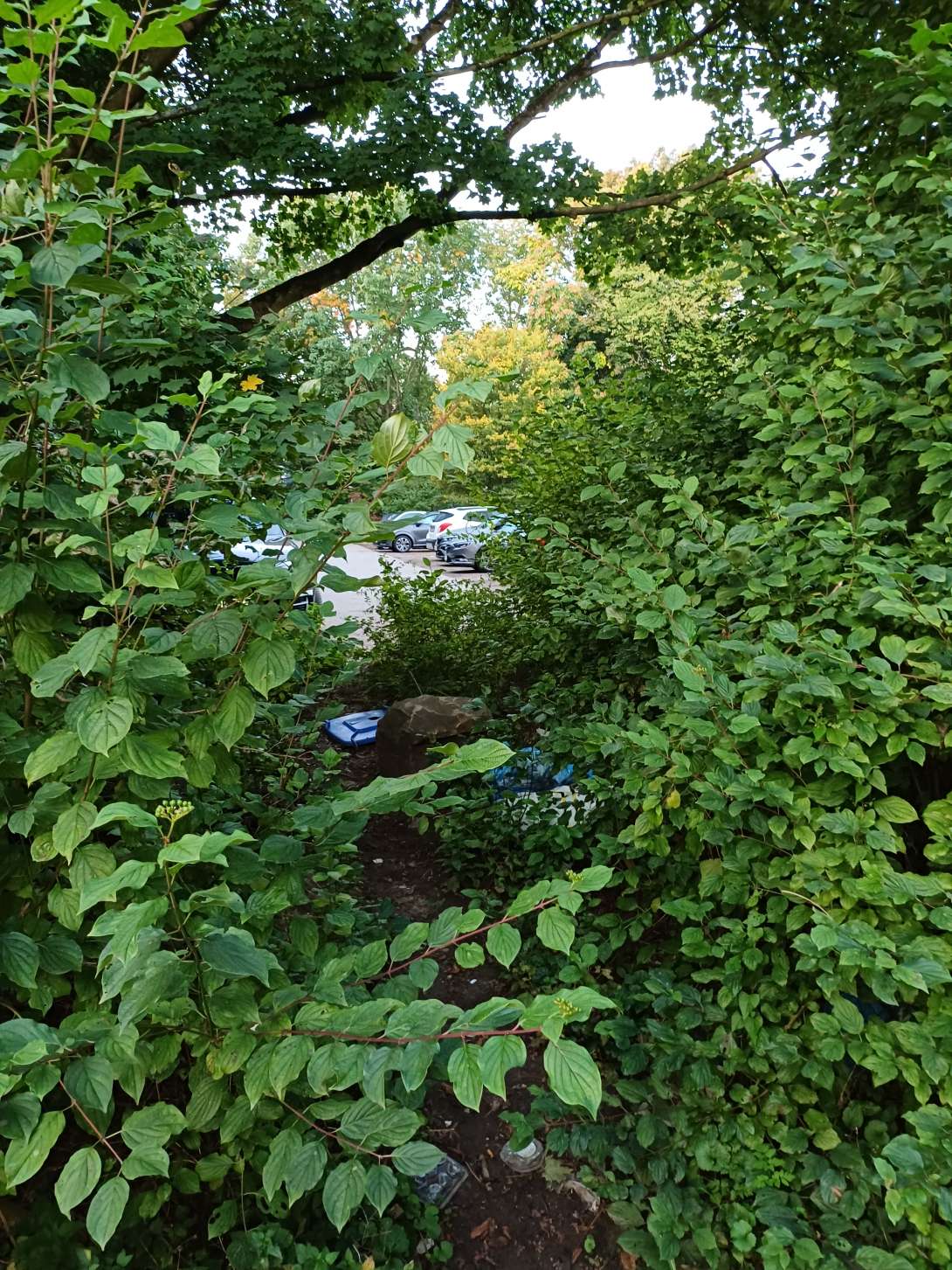 Bild zu gemeldetem Anliegen vom *2025-10-03 01:50:12