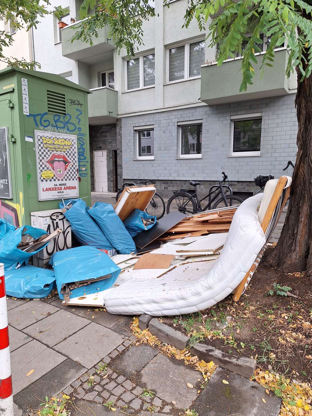 Bild zu gemeldetem Anliegen vom *2025-10-06 19:20:58