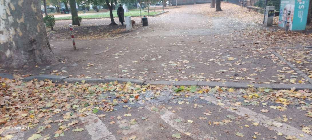 Bild zu gemeldetem Anliegen vom *2025-10-26 12:57:07