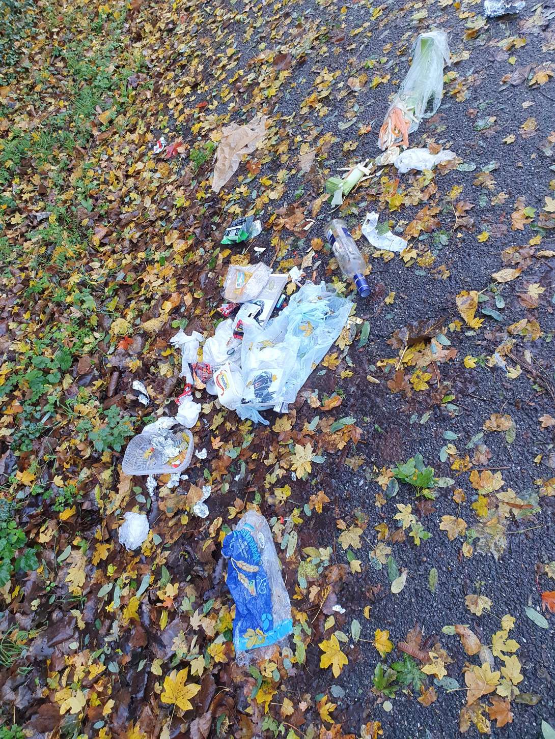 Bild zu gemeldetem Anliegen vom *2025-10-28 06:07:27