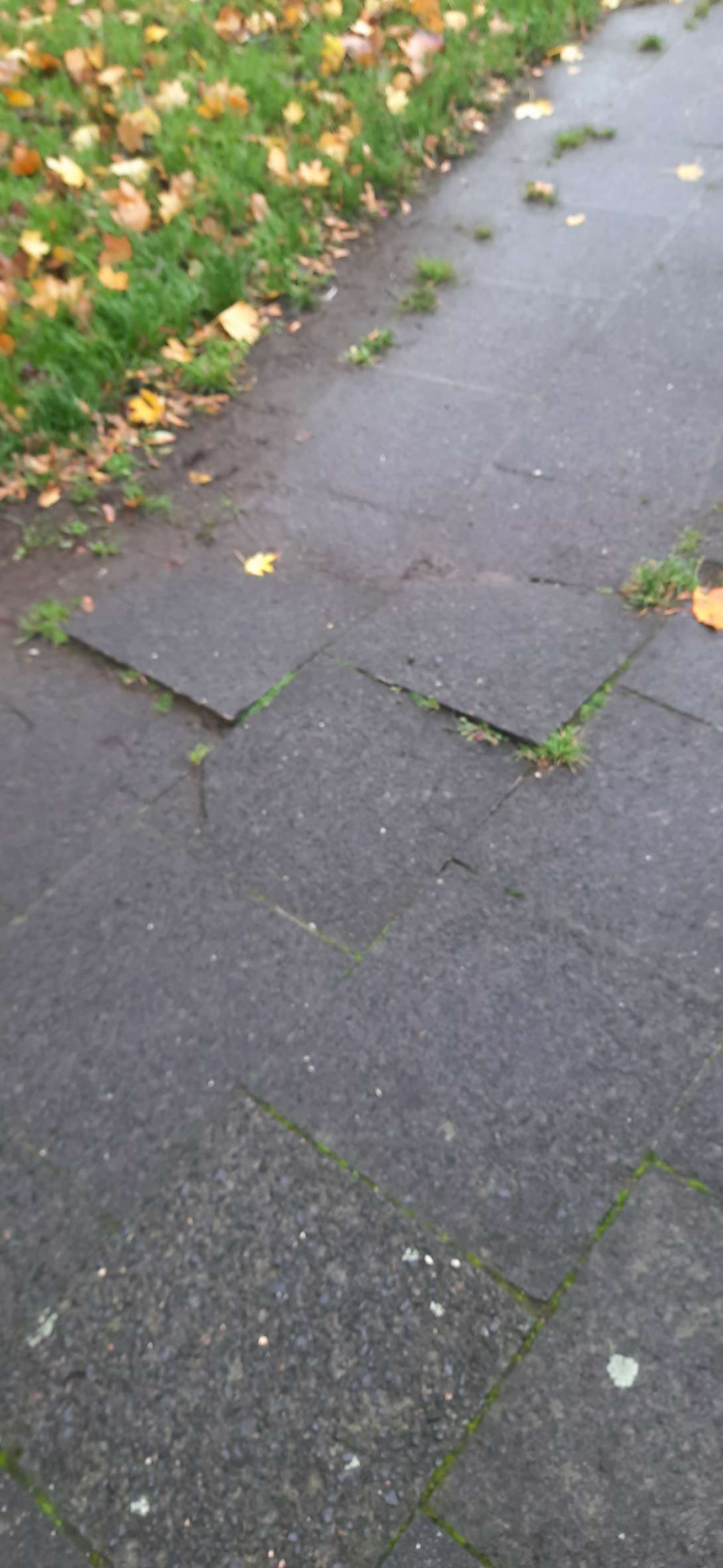 Bild zu gemeldetem Anliegen vom *2025-10-31 15:29:53