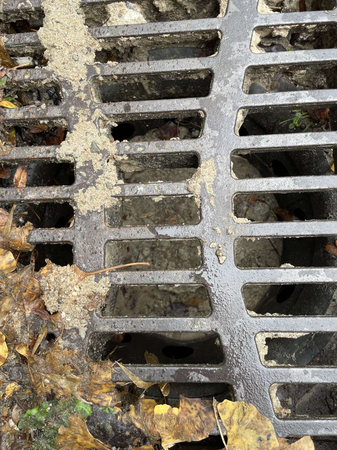 Bild zu gemeldetem Anliegen vom *2025-10-28 13:00:07